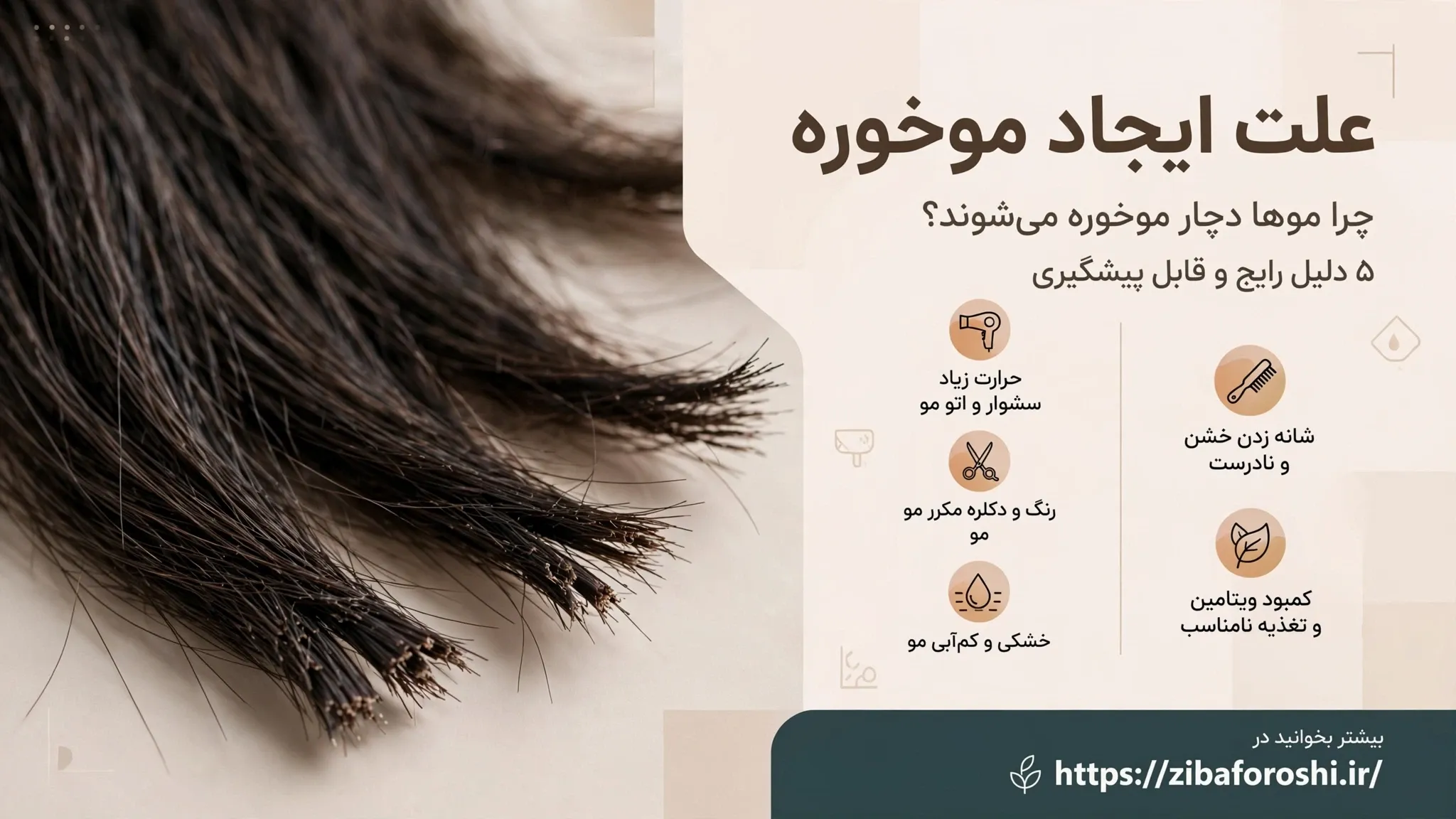 علت ایجاد موخوره چیست و چگونه از آسیبدیدگی مو جلوگیری کنیم؟